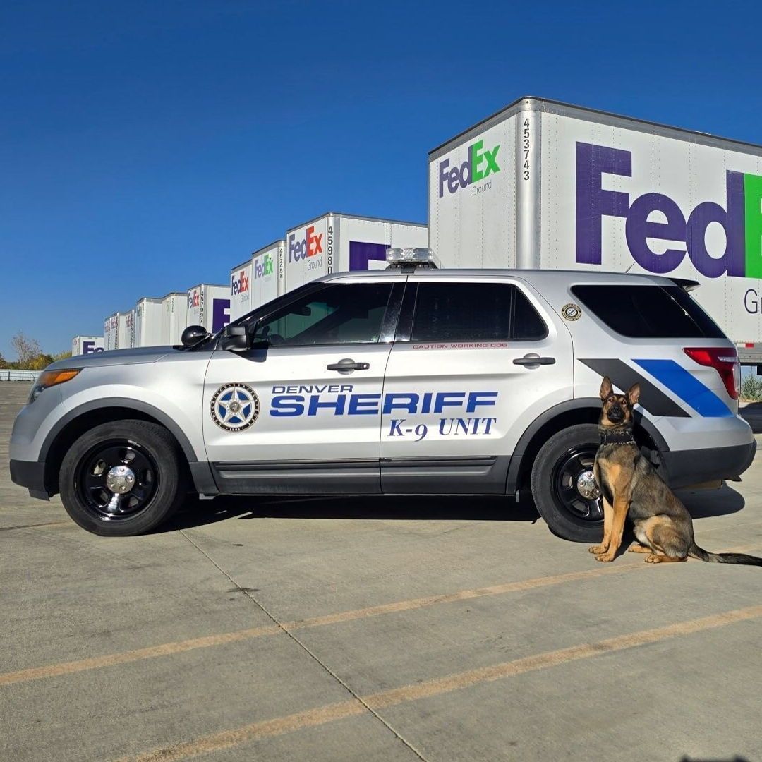 DenverSheriff's tweet image. Who&apos;s this?!?? It&apos;s our newest K9, Gage! Welcome to the DSD K9 Unit! (Shoutout to @fedex for letting us use their space for certification!) #SaturdaySparkOfJoy  #DSDEst1902 #WorkingDogsOfTwitter