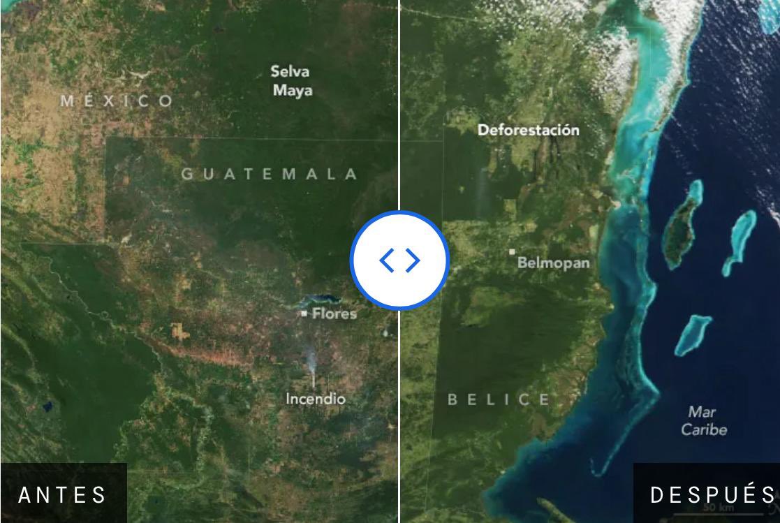 azucenau's tweet photo. La NASA publicó fotografías satelitales y un diagnóstico sobre la Selva Maya en el que destaca que los datos muestran que al igual que el Amazonas, grandes sectores de esta selva han sido talados en las últimas décadas.   En imágenes comparativas  muestra la pérdida de la cobertura forestal entre el año 2000 al 2024.

*Laura Cardoso