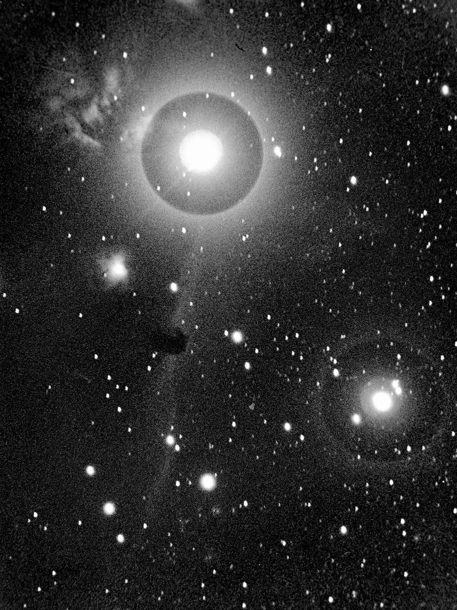 Harvard Plate Stacks tweet media