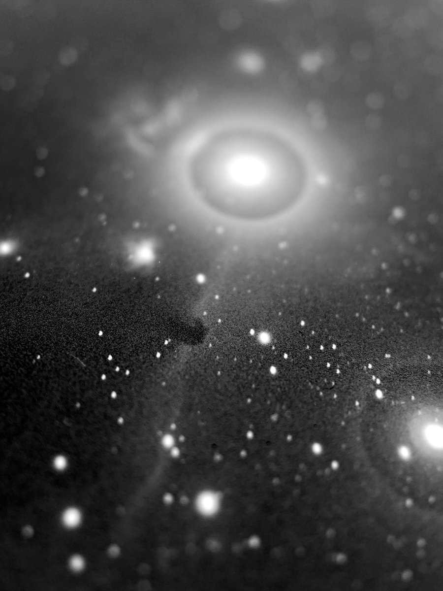 Harvard Plate Stacks tweet media