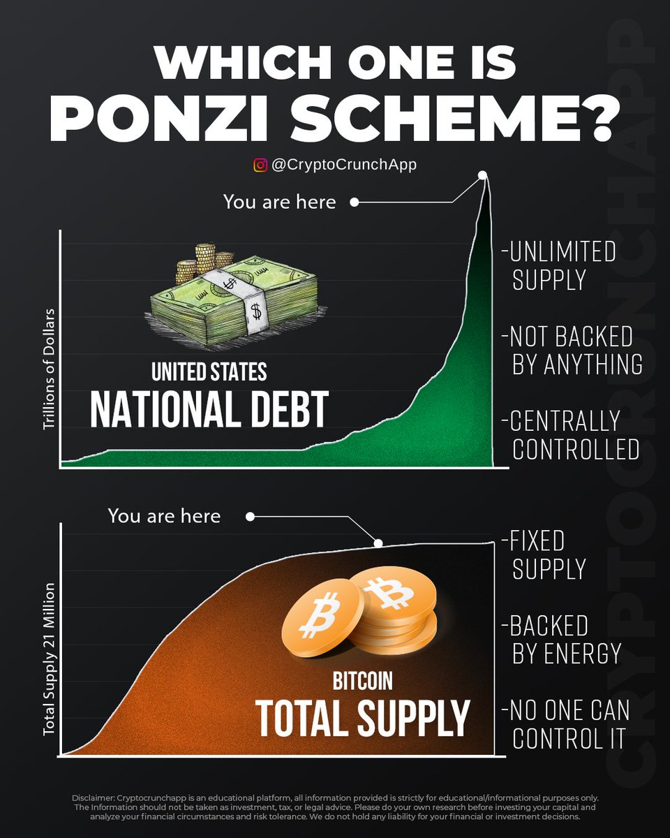 Which One is Real Ponzi Scheme? 👀😳