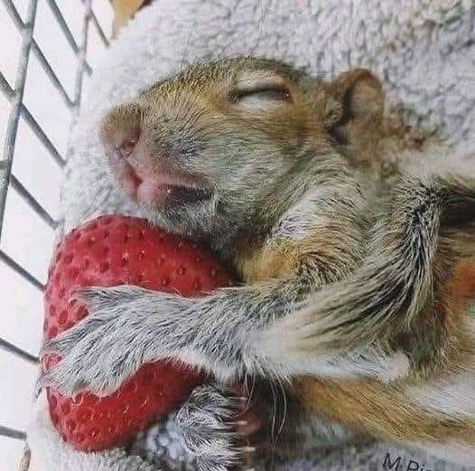 Lost my boy today, 17 years old. I'm broken and hurting so bad.😥😭