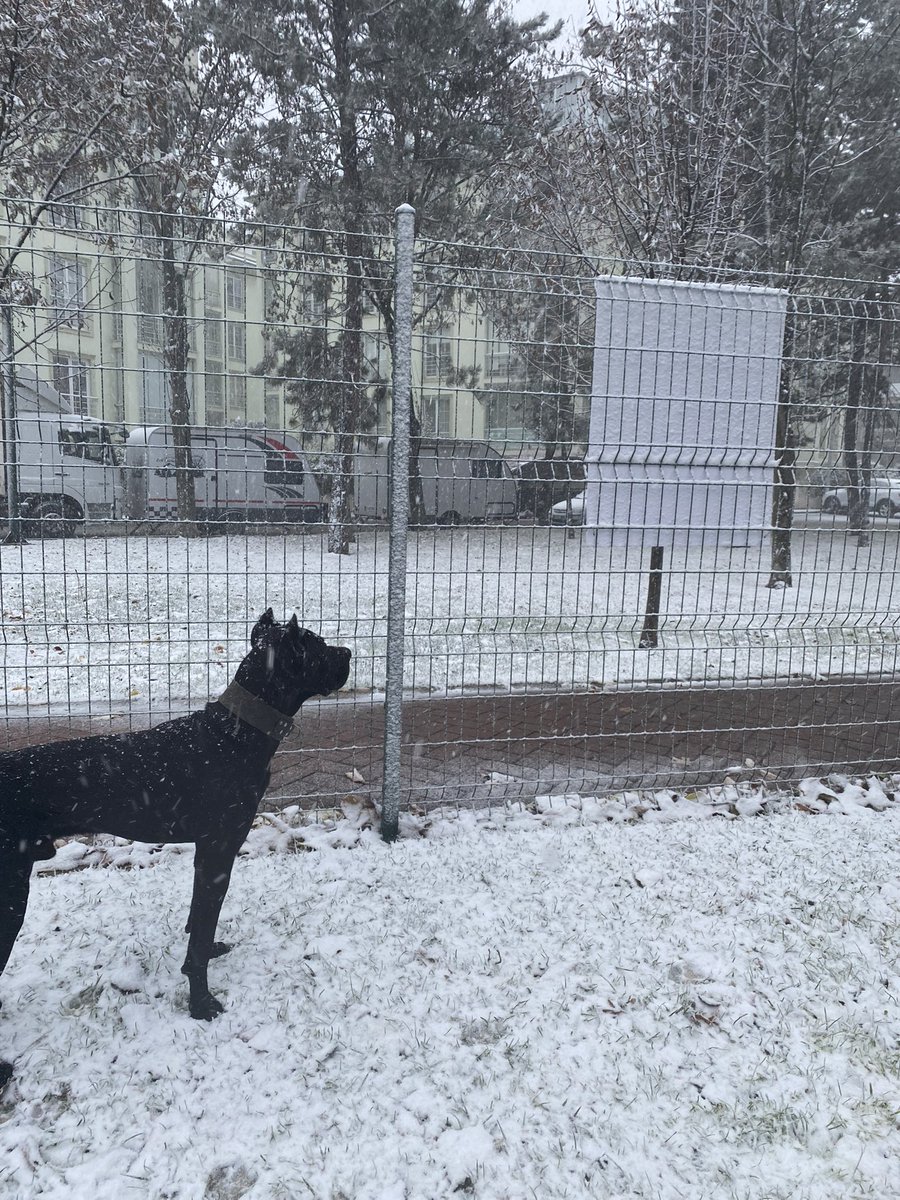 SevimsizPuding's tweet photo. Eskişehire geldiğimiz belli oldu https://t.co/GDvQMMSdsk