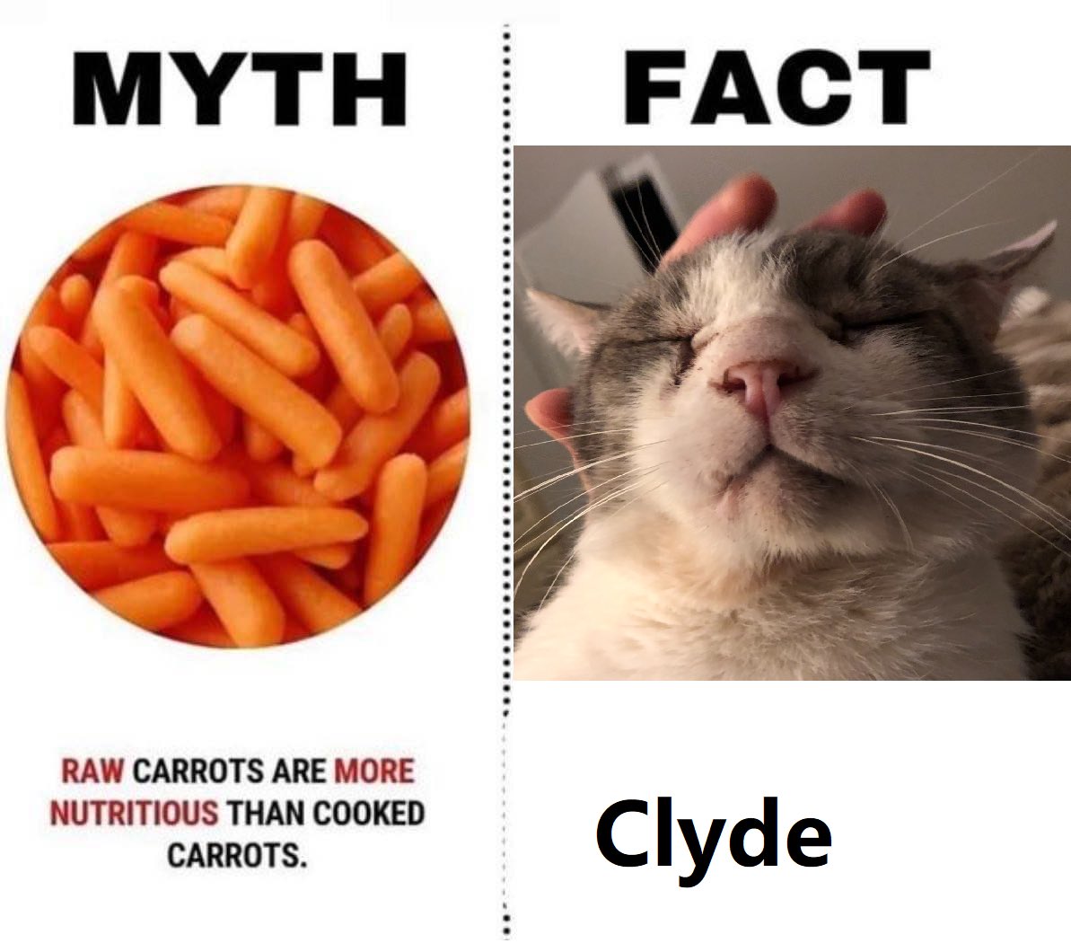 budypals's tweet image. Clyde