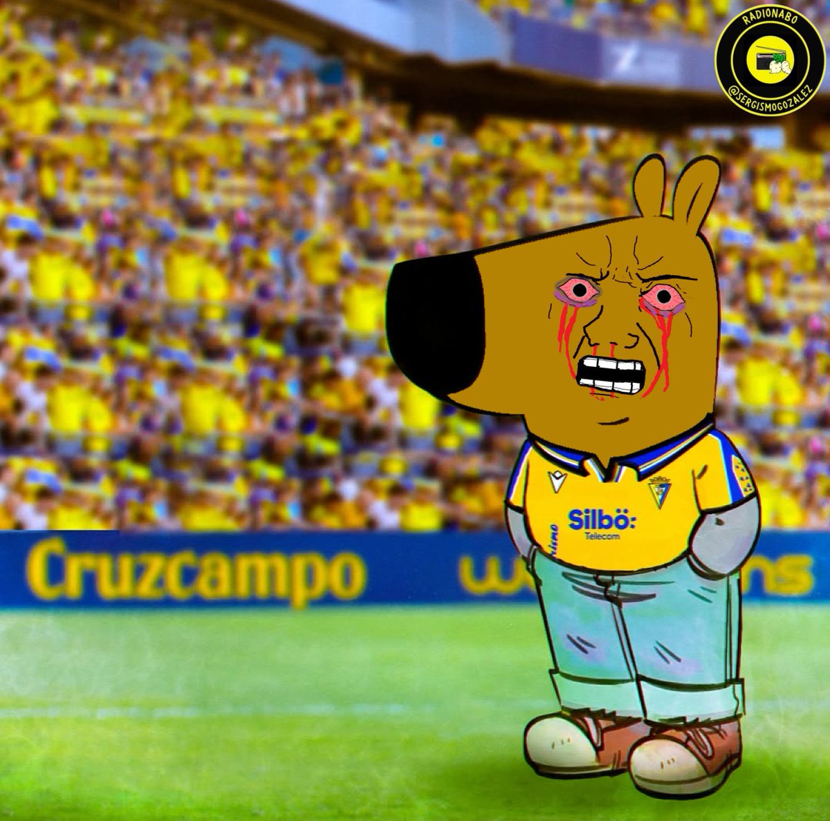 SergismoGozalez's tweet photo. Yo antes de ver al Cádiz // Yo después de ver al Cádiz ✅ https://t.co/jiYbyR05J8