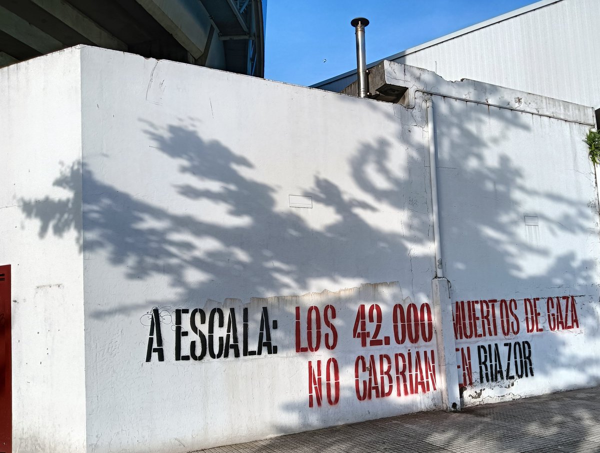 Palestina existe! #udcxpalestina #udcocv