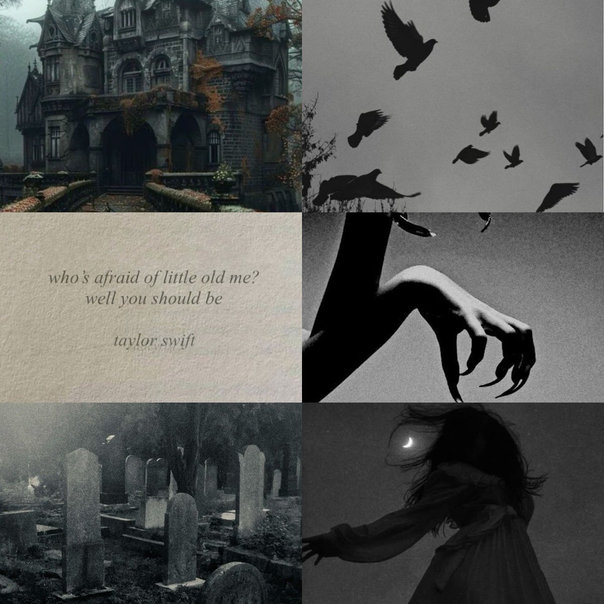 lisamsylvan's tweet photo. I have a dark, gothic, modern fantasy releasing next year with Scholastic U.K., just in time for spooky season. There’s folklore, mystery, and a little bit of kissing. 💀🕷️🕸️ Goodreads link below! https://t.co/ynOrUhJ3Bq
