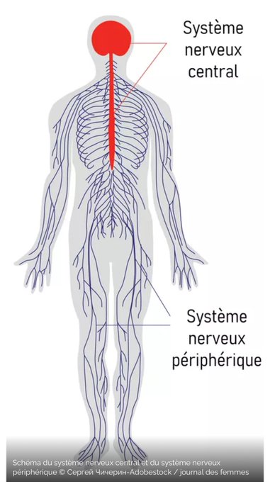 Image in tweet by Sarah Campiche MD