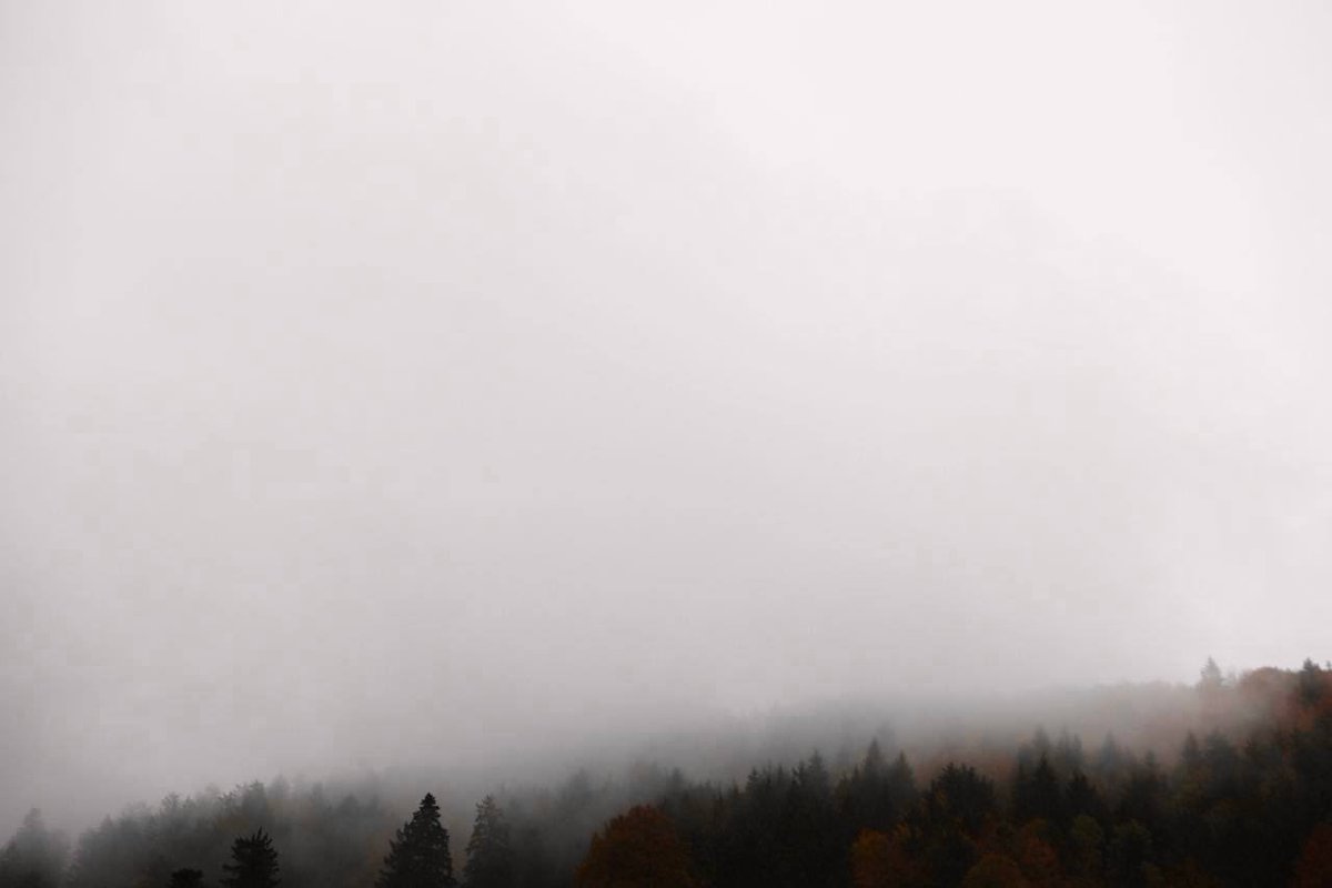 Mostly I find greater fulfillment in my imagination than in what is directly before me.