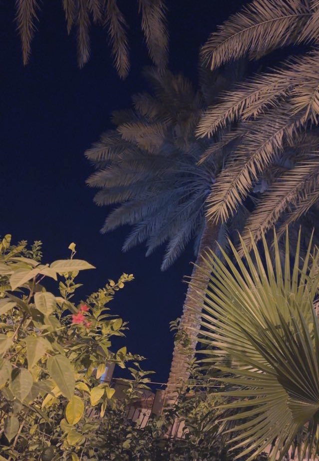 mon____M's tweet photo. الهي لاتنزع عنَّا الرحمة، ولاتتركنا نحيا دون الشعور بها، ولاتجعلنا نتصرف بما يُخالف ضمائرنا، طوق قلوبنا بالأمان، ولاتُحملنا ما يفوق تصوراتنا، ومايؤذي خواطرنا، عاملنا برحمتك ولا تقطع عنَّا لطفك ومحبتك🍃🌿🍃. https://t.co/BwQFgWorDK