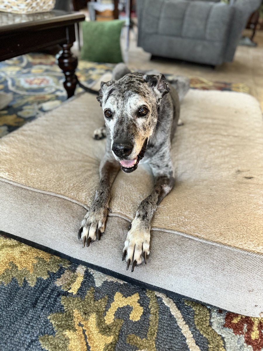 This old girl is still going strong. 

📸 <a href="/Kaylacnorris/">Kayla Norris</a>