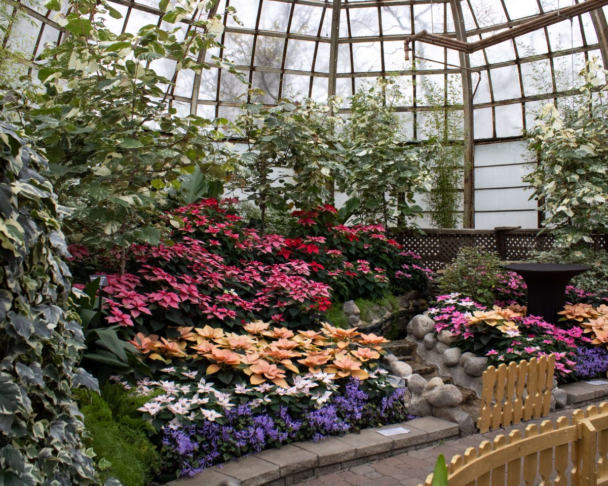 Lincoln Park Conservancy tweet media