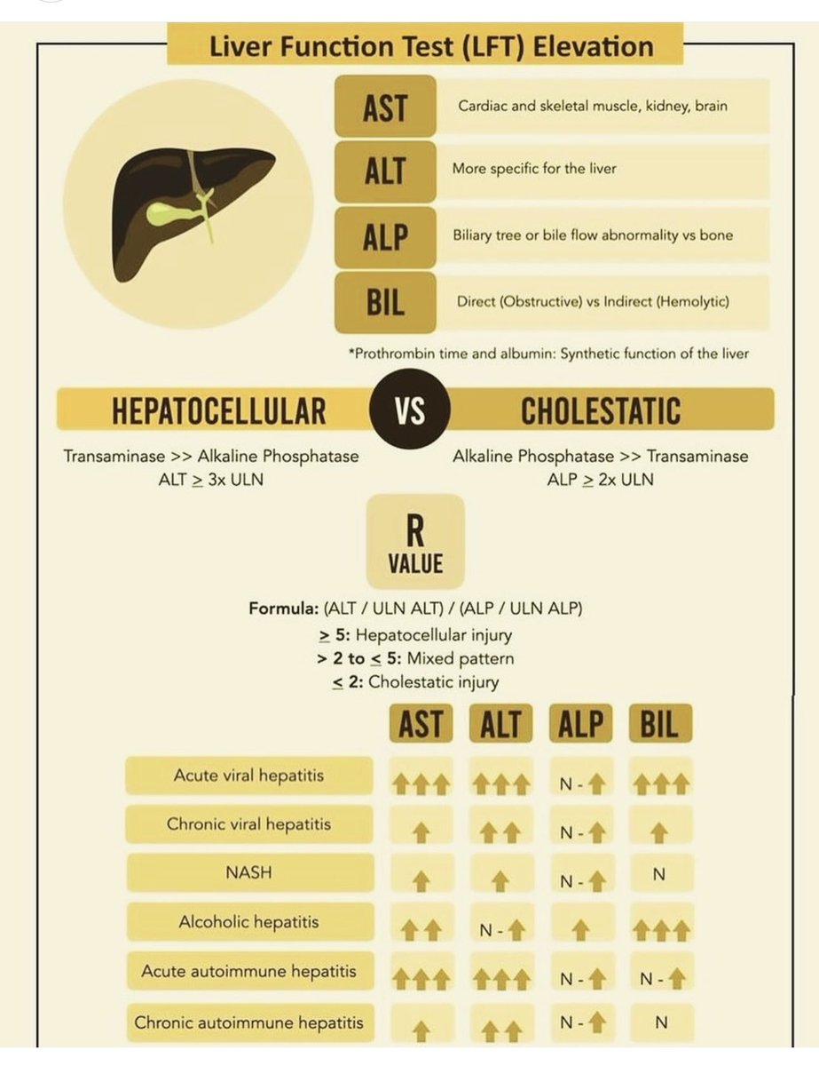 Liver Functional Tests