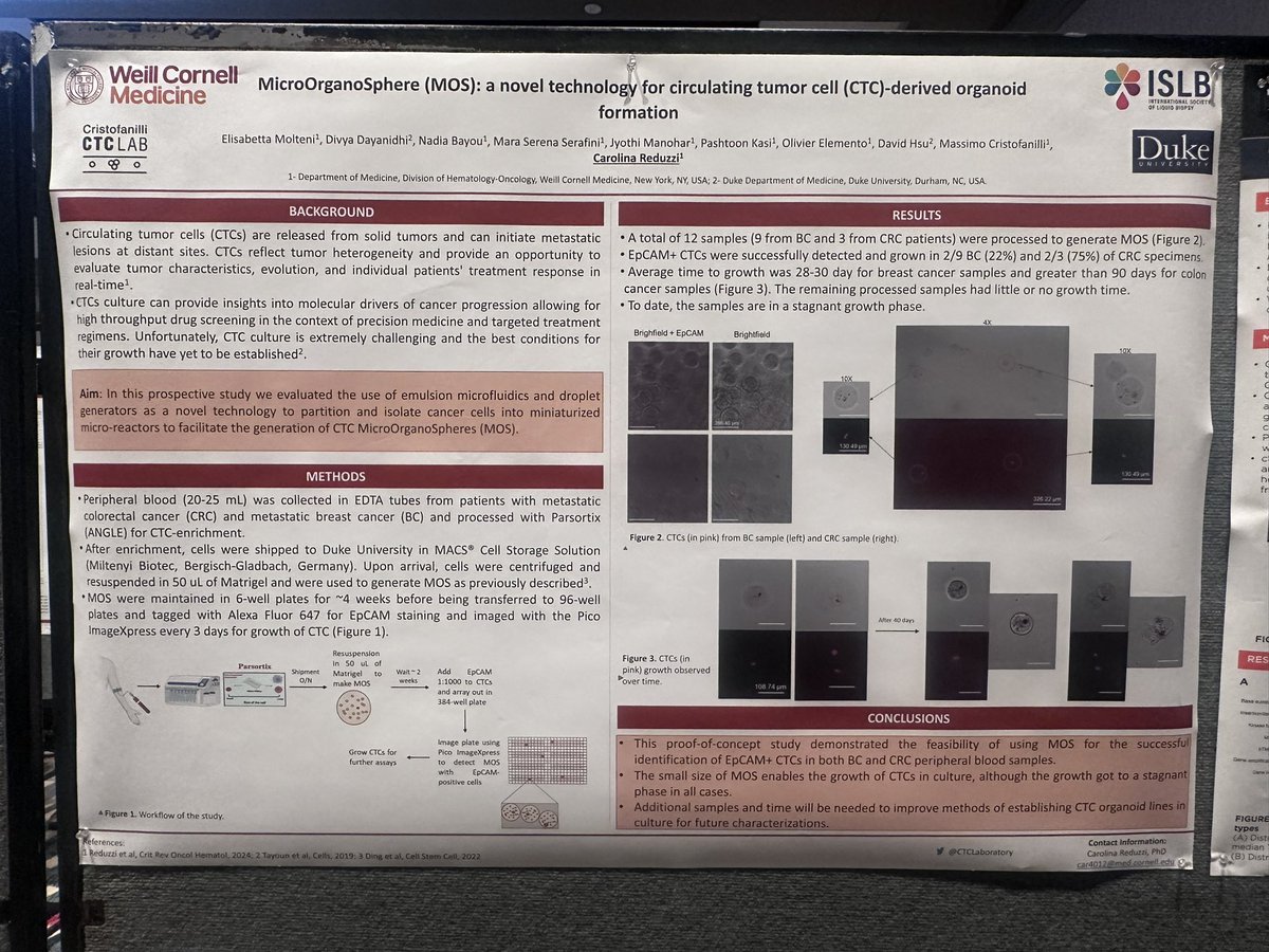 DrYukselUrun's tweet image. MicroOrganoSphere (MOS): A new approach for growing circulating tumor cell (CTC)-derived organoids. Promising results in BC &amp;amp; CRC samples, though challenges in growth phase remain.

🩸 Unlocking CTC potential for precision oncology!

#LiquidBiopsy #Oncology #ISLB24