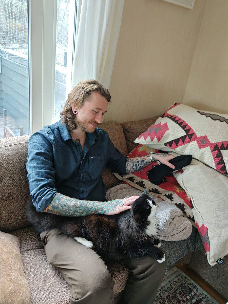 Liam🐸 tweet media