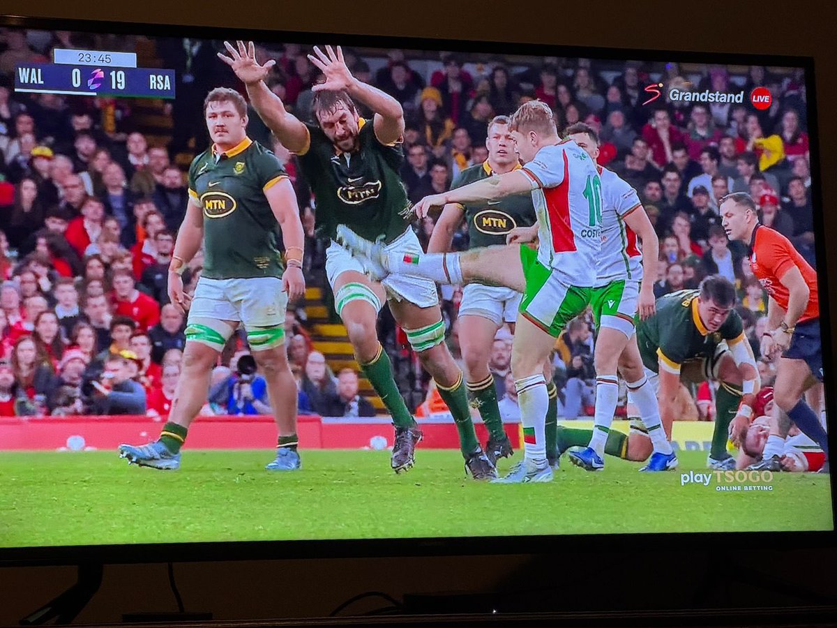 Go Bokke #Springboks