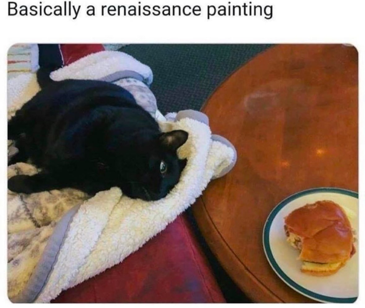 Happy Caturday😻
#Caturday #cats