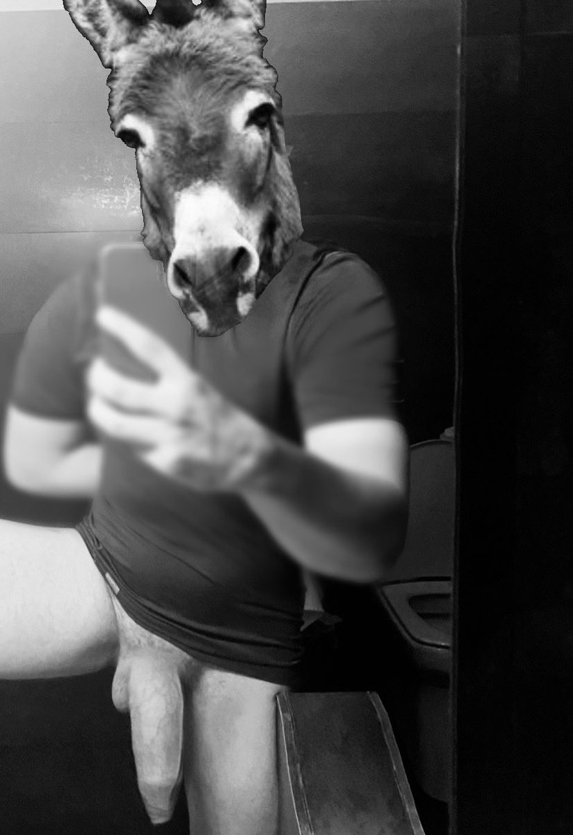 Human Donkey / #10inches (16k) tweet media