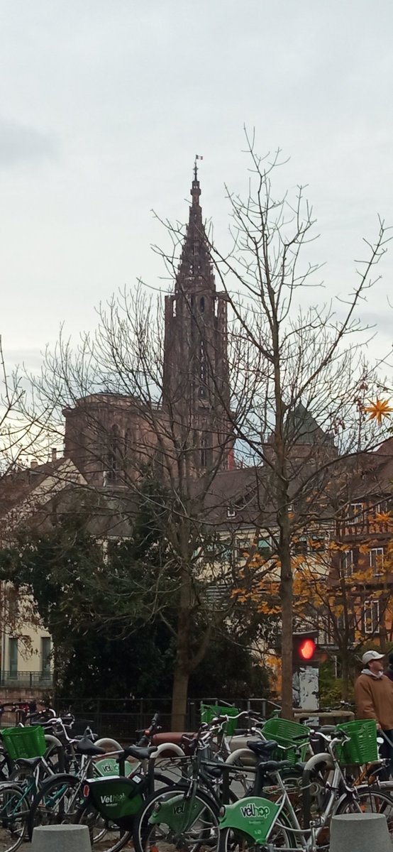 CestCeliiine's tweet photo. Un 23 novembre à Strasbourg.  #Contades #Synagogue #LibérationStrasbourg #poterie https://t.co/vRMjNfcdqc