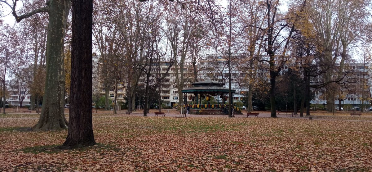 CestCeliiine's tweet photo. Un 23 novembre à Strasbourg.  #Contades #Synagogue #LibérationStrasbourg #poterie https://t.co/vRMjNfcdqc