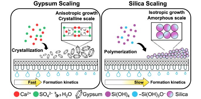 A tale of two minerals: our recent review article on different behaviors and mitigation strategies between gypsum scaling and silica scaling during membrane desalination: rdcu.be/d1fRK