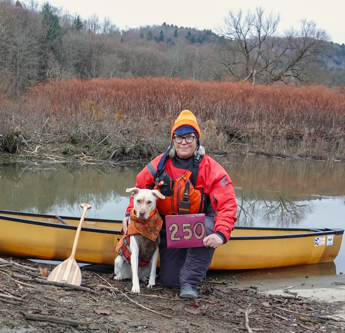 Vermont Paddle Pups tweet media