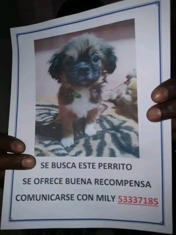 urgente ,SE BUSCA🗣🗣🗣🗣