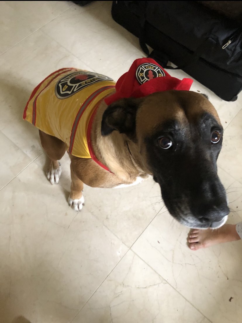 $Hugo going much higher 

pump.fun/coin/6fPbUXGUx…