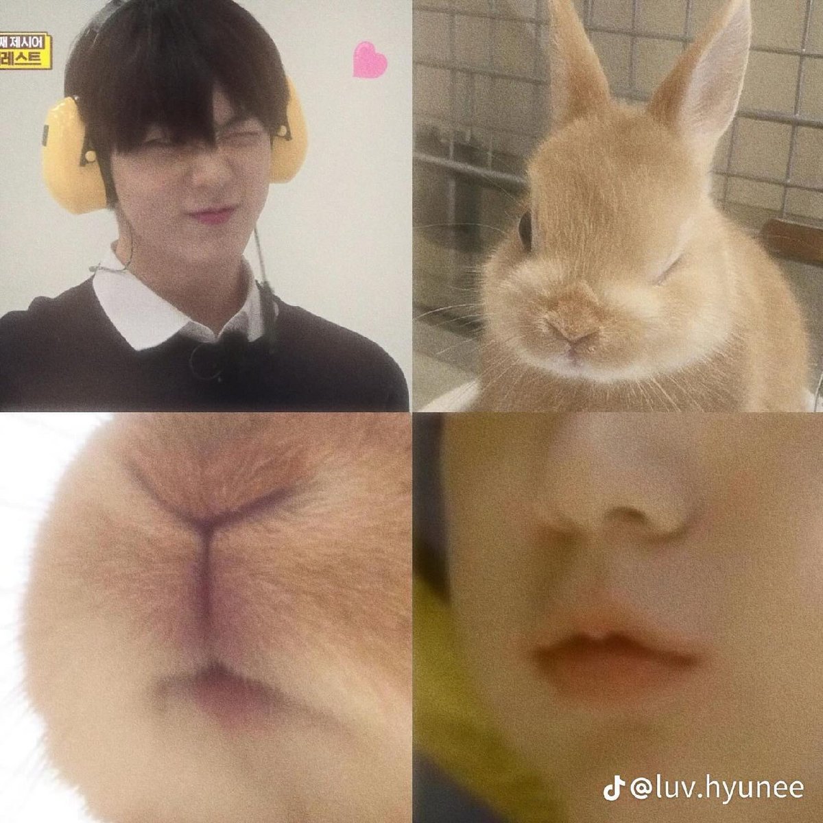 من هروقت خرگوش میبینم یاد سوبین میافتم
تقصیر من نیست ، سوبین خیلی خرگوشه