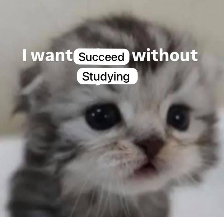 آنېسة🐍 (@2nesam129) on Twitter photo 