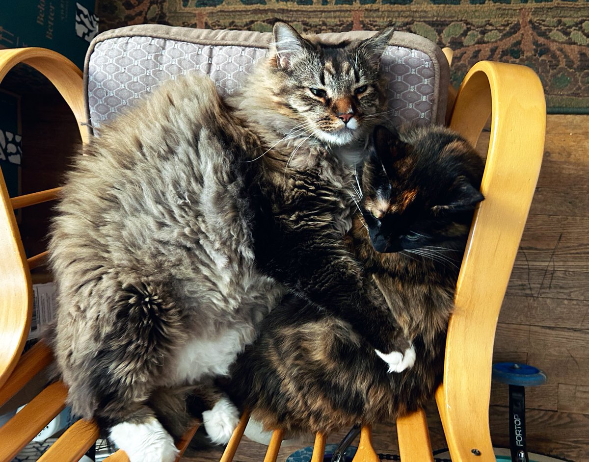 Peter Diseth tweet media