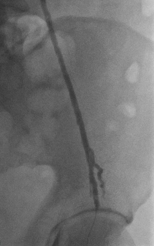 Jimmy Kyaw Tun tweet media