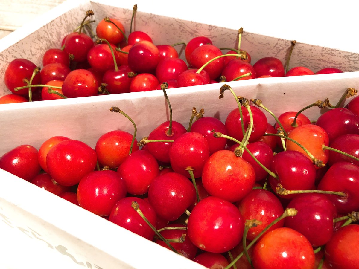 おはようございます