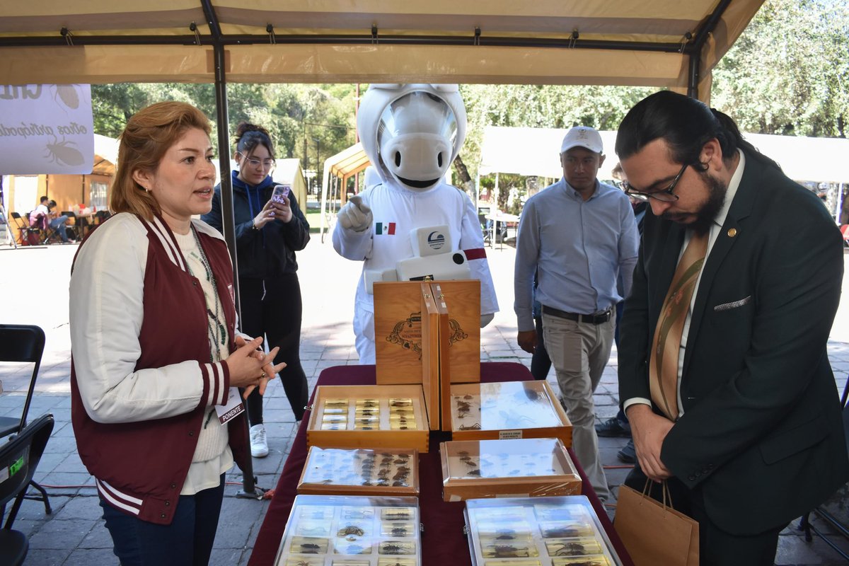 PLEE_IPNoficial's tweet photo. 💚✨ Diversión y aprendizaje en ConCiencia Saludable ✨💚

Nuestros asistentes descubrieron más sobre cómo mantener una vida saludable. 🧠🍎

Con charlas y talleres interactivos, vivieron una experiencia llena de diversión. 🎉

#ConCienciaSaludable #PLEE #ElEspaciodelaCiencia https://t.co/ZWLt4qW3HY