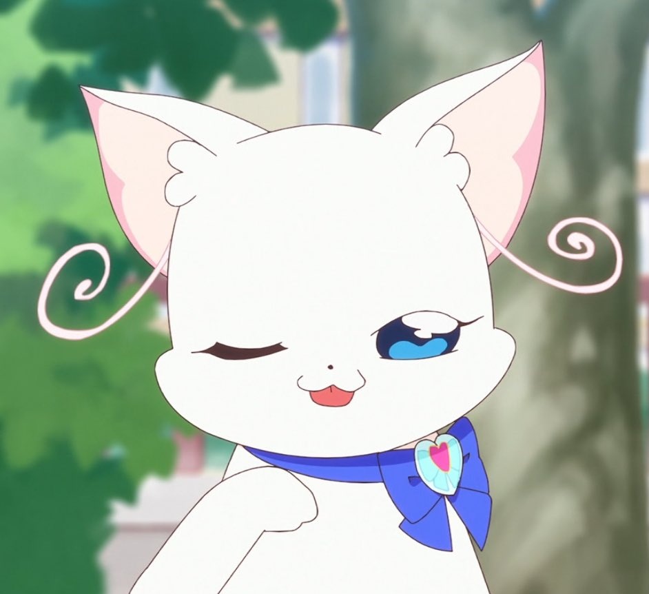 Post by 猫屋敷ユキ(本家) on X: にゃ～