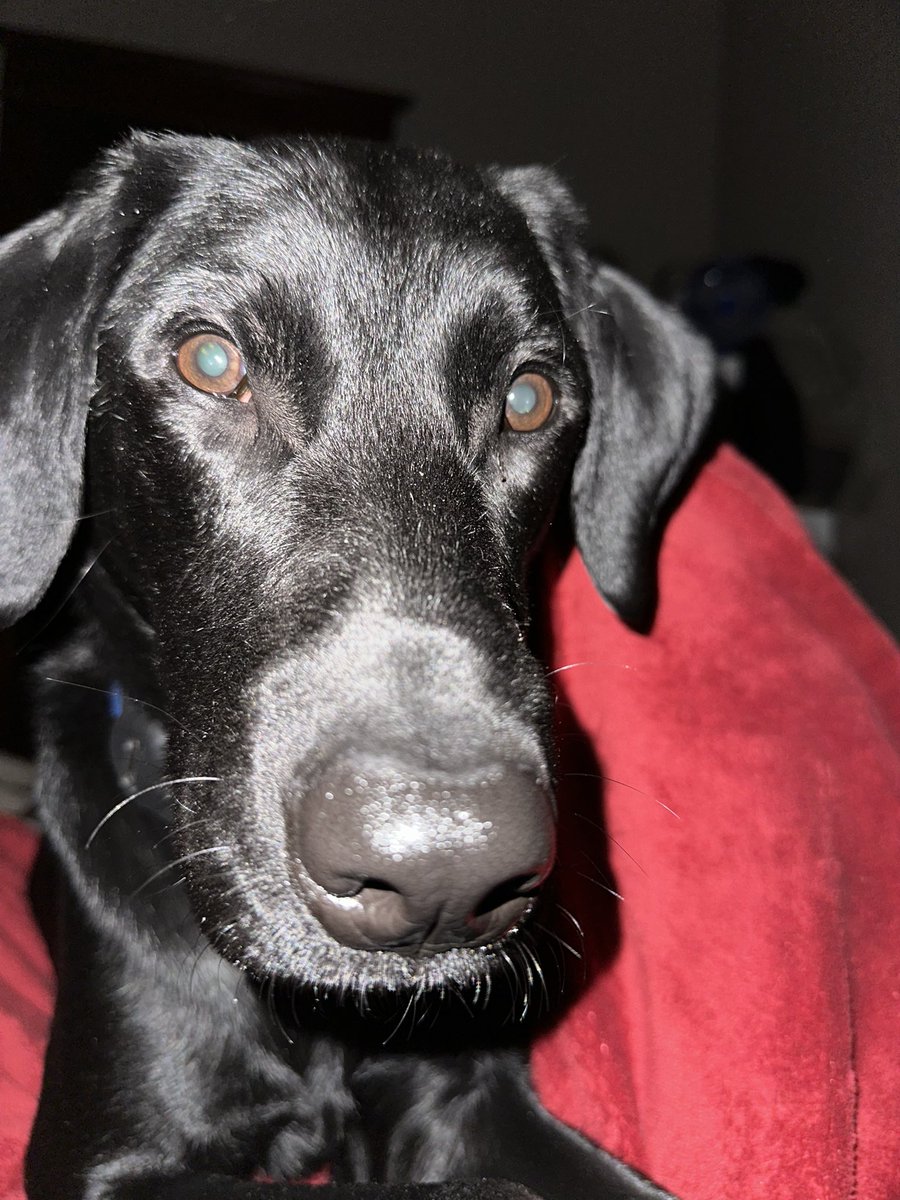 It’s early. Get out of bed. It’s time for breakfast.