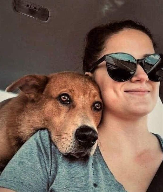 On the ride home from adopting this guy 🥰.