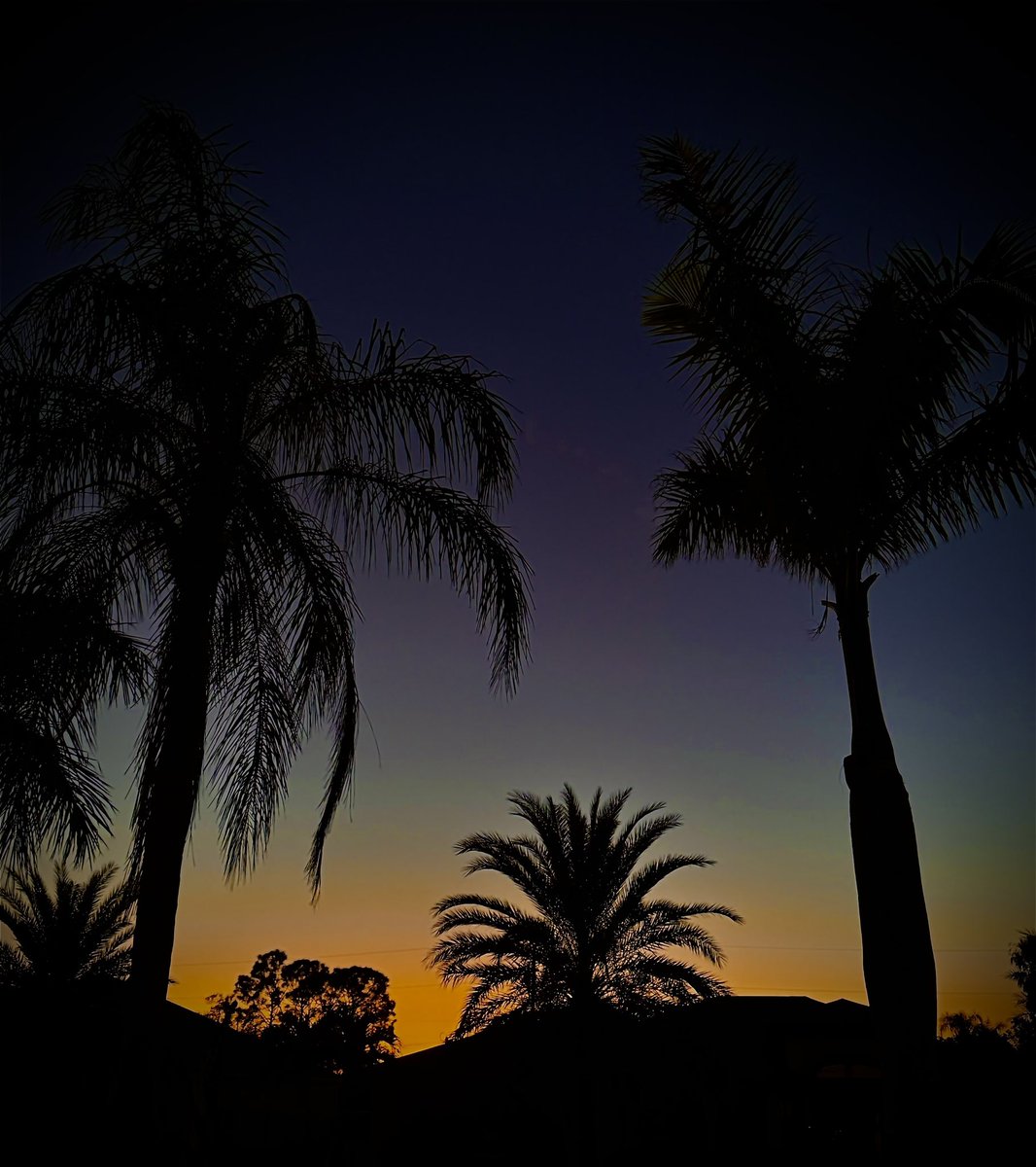 I’ve certainly missed this view!