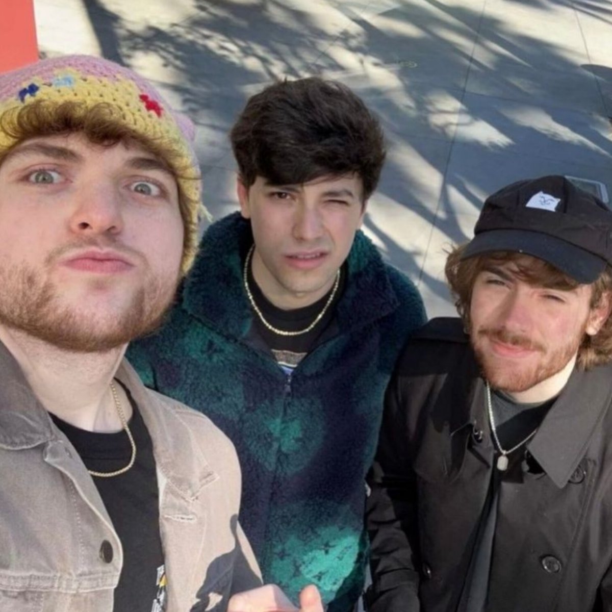 dteam as animals tweet media