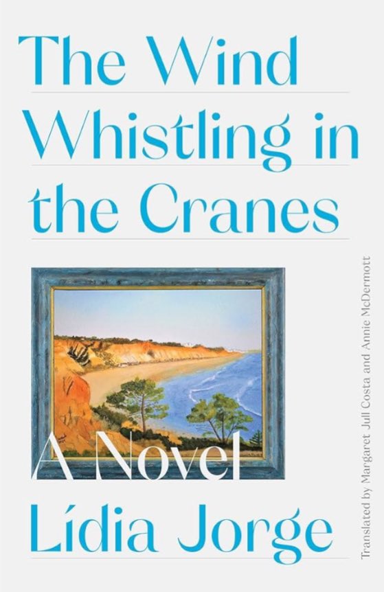 Discovered Lídia Jorge in translation in a Lisbon bookstore last month. This novel is beautiful.  She is a master storyteller.