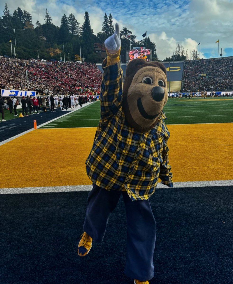 Oski tweet media