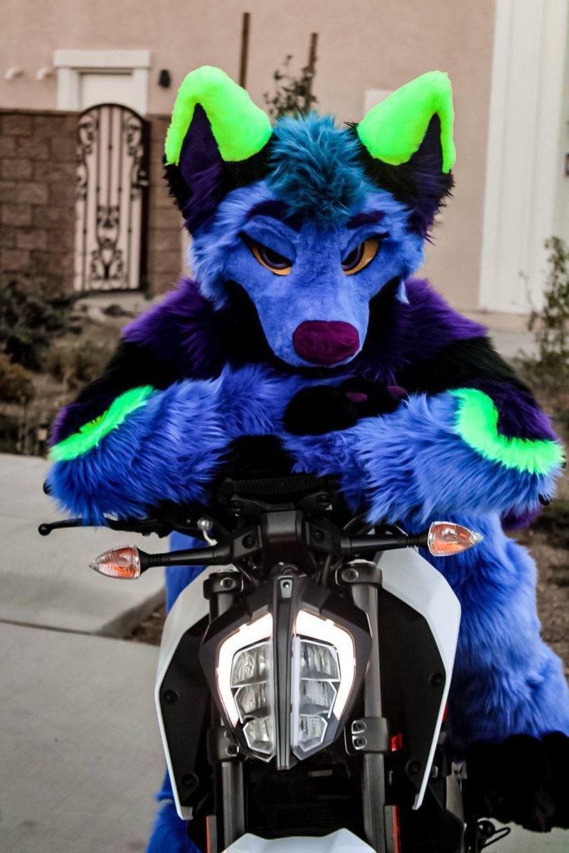 🏍🐺~

[Nibbi]