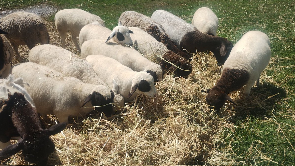 Joe Cautec tweet media