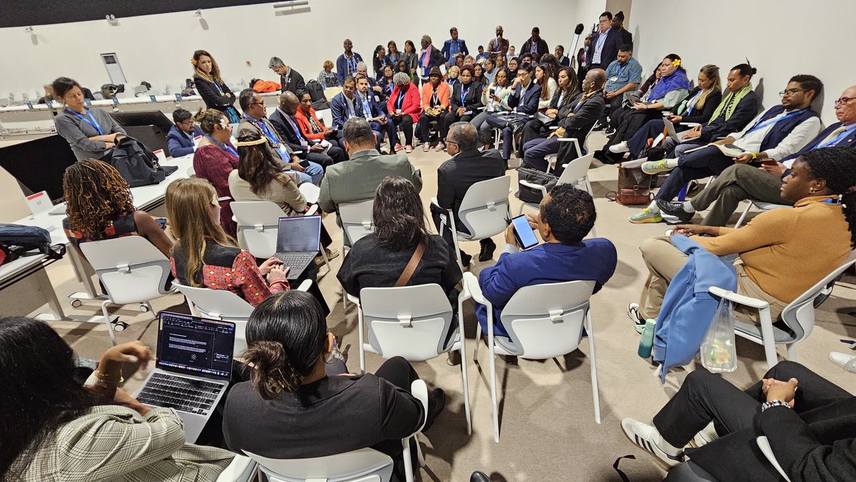 Disappointing outcome at #COP29. We missed a chance to shield our most vulnerable from the climate crisis &amp; heal our planet. Strong concerns remain over the adopted climate finance goal. Thanks to all who stood with us. We fight on! #ClimateJustice
 #COP29 #ClimateFinance