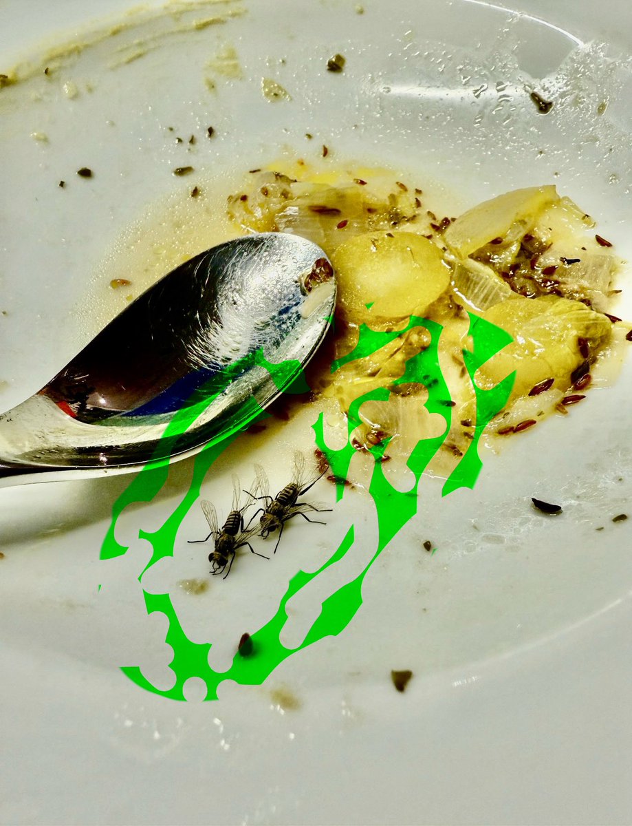 matter_birgit's tweet photo. #fahrtinsgrüne
#kunsttalk #kunsttalks #kunsttalk_matters #livestreaming
#eintagsfliegen #eintagsfliege #diekunst https://t.co/9urS8MpDT8