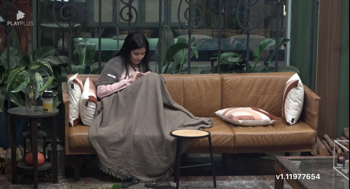 Vanessa Carvalho tweet media