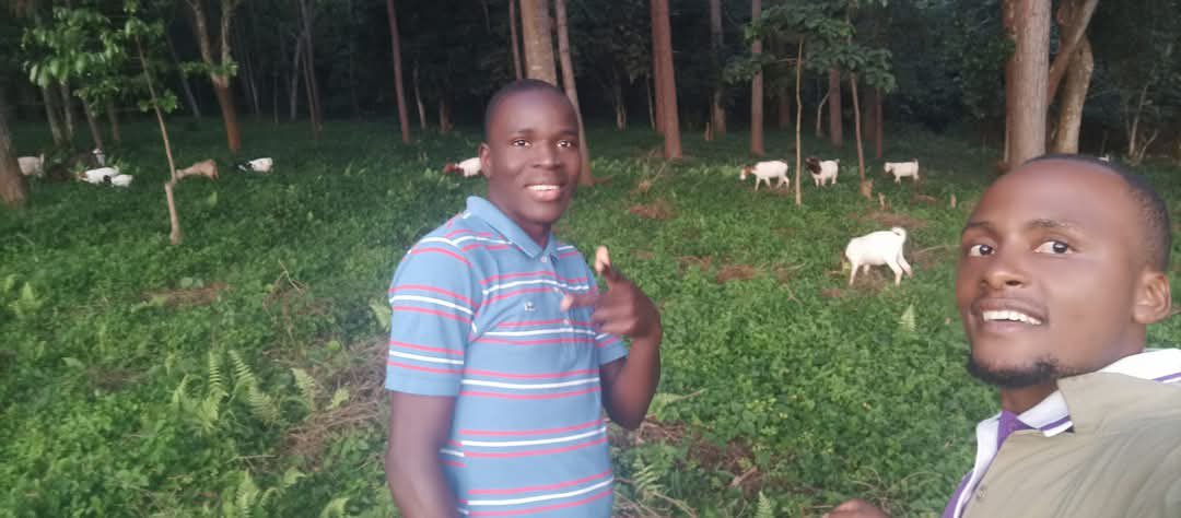 Rotaract Club of Seeta (@rotaractseeta) on Twitter photo Baine Farm - "Your Need, Our Niche" 
Baine specializes in goat breeding and offers top-quality breeds, including Boer, Savanna, Sannen, and local varieties. Whether starting or expanding your herd, we've covered you with the best breeds for you!
☎️  0750330245
#TheCEOs Baine Farm - "Your Need, Our Niche" 
Baine specializes in goat breeding and offers top-quality breeds, including Boer, Savanna, Sannen, and local varieties. Whether starting or expanding your herd, we've covered you with the best breeds for you!
☎️  0750330245
#TheCEOs