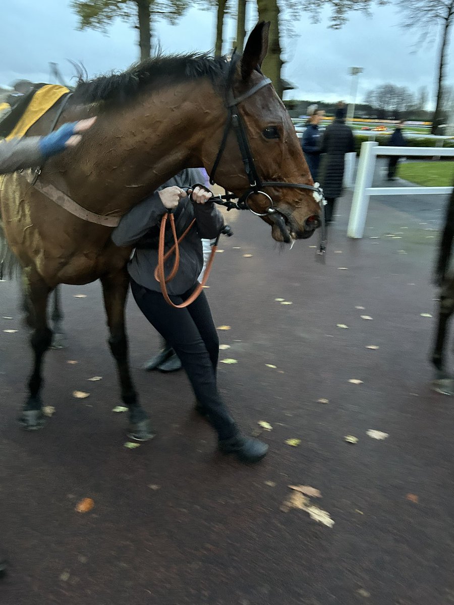 Was amazing to get an Owners Badge and be there today. 7hrs of driving well worth it. Great insight by Charlie Davies and <a href="/gingell_freddie/">freddie gingell</a>, was great speaking to you both! And an amazing run by Take Your Time!