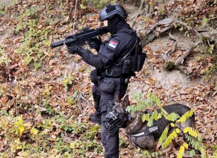 Serbian Police Special Anti-Terrorist Unit (CAJ/SAJ) members during a manhunt this past week.