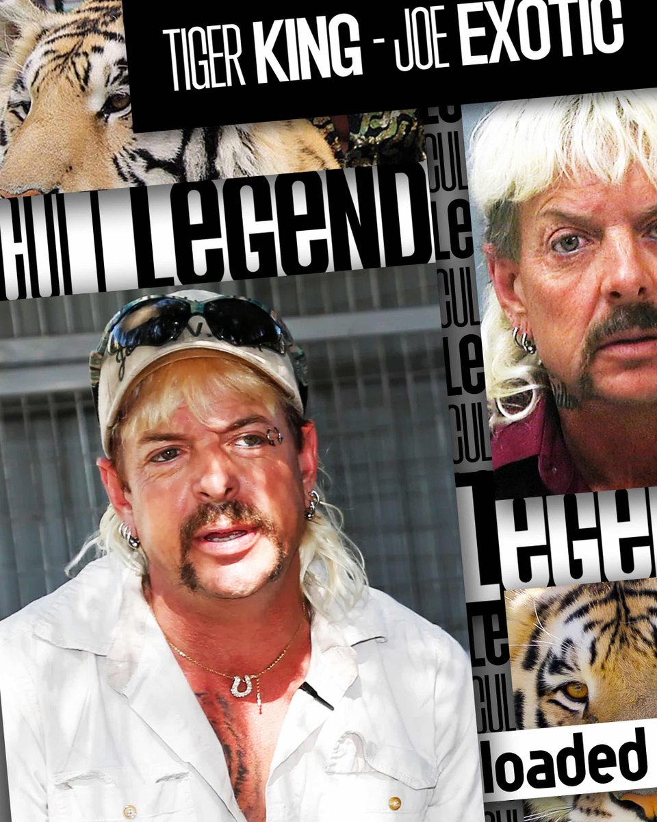 loadedonline's tweet image. Have you seen Tiger King? If so, did you enjoy it? 

#tigerking #joeexotic #loaded #fyp